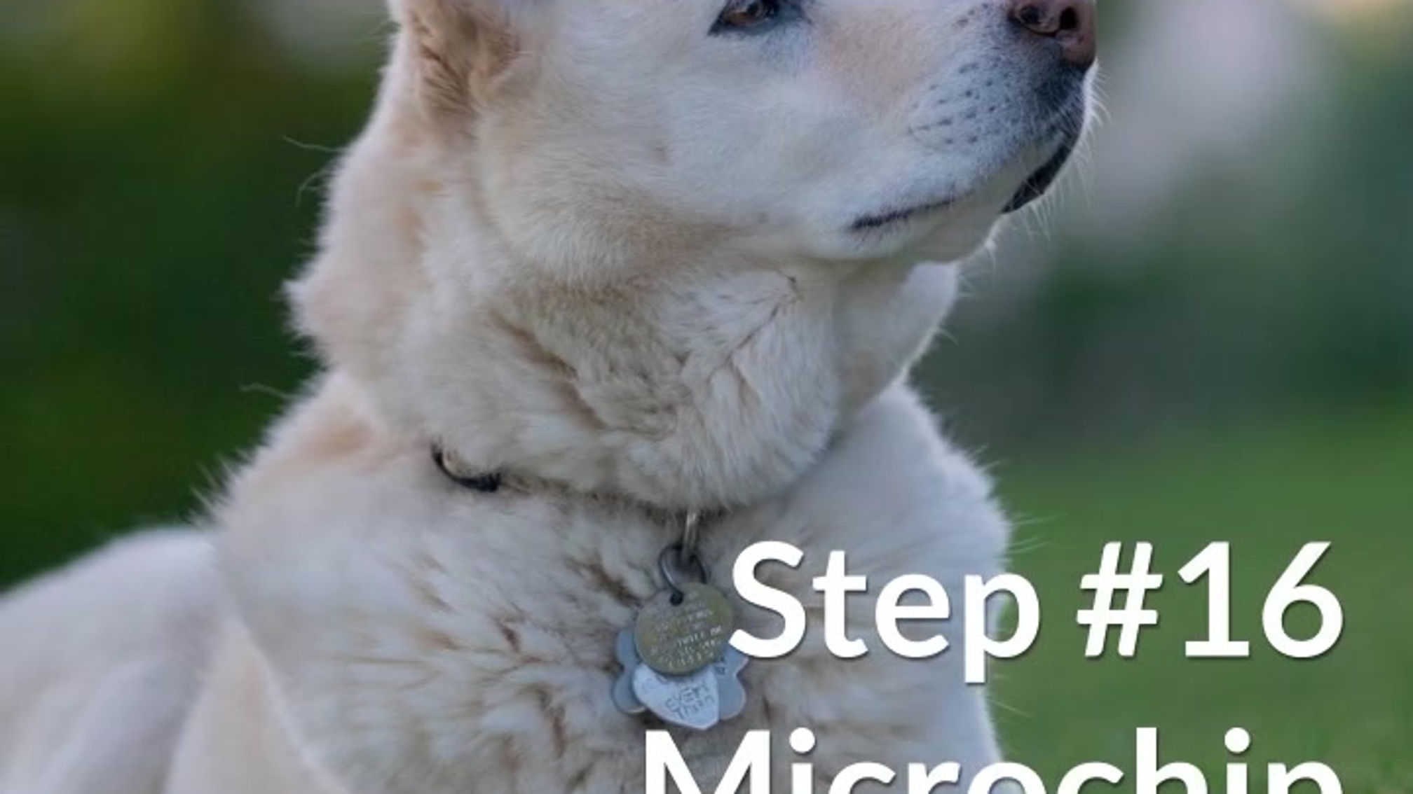 Get Prepped - Week 3